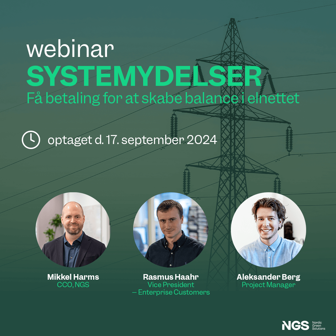 webinar systemydelser